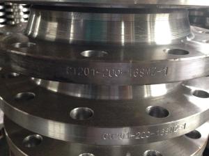 China Steel Weldneck flanges for pipeline wholesale