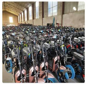 China Steel Frame Lead Acid Battery Cool Cross Electric Motorcycle 350W Brushless Power wholesale
