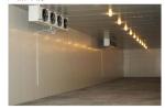 Chicken Blast Freezer Room, Walk in Cooler Room, Industrial Blast Freezers