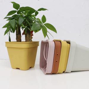 China Multi Functional Silicone Flower Pot Eco Friendly With Customized Logo wholesale