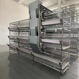 China 65*62.5*50 Cm Size Battery Chicken Cage Farming 380V For Rearing House wholesale