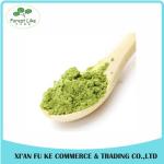 High Quality Slim Fast Green Tea Powder