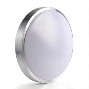 China 13 Inch LED Ceiling Light wholesale