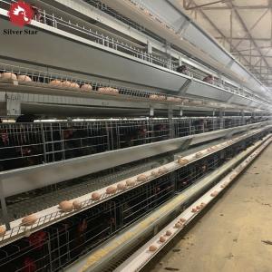 China Automatic Egg Layer Chicken Battery Cages Farm Laying Hens Poultry wholesale