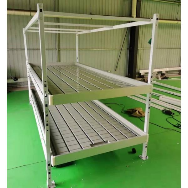 Vegetable Outdoor Indoor Plant Growing Rack 1.22x2.44m Ebb Flood Fixed Table Growing Rack For Medical Plants