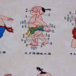 Rice Paper Scroll Chinese Medicine Charts Suitable Mirror Screen
