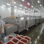 DJL High Quality Food Iqf Quick-Freezing Equipment Tunnel Freezer For Seafood