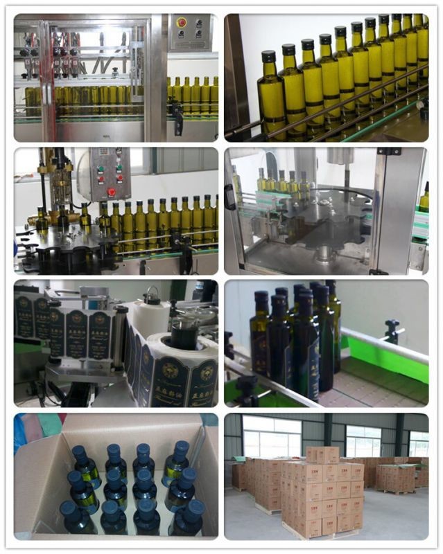 Food Grade Evening Primrose Healthy Edible Oil