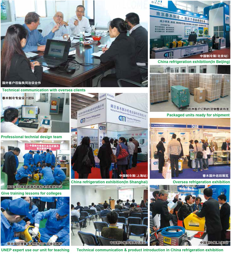 R123 SF6 R245FA R1233ZD Chiller Maintenance Low Pressure Refrigerant Recovery Machine CE Certification