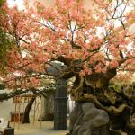 Lush Cherry Artificial Landscape Trees Exhibition Decorative