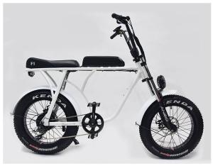 China 36v 20 Inch Fat Tire Ebike 350w Electric Bicycle 20 Inch Wheel 10ah Bafang 8fun Brushless wholesale
