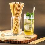 Bervage Juices Paper Cocktail Straws Eco Friendly Paper Drinking Straws