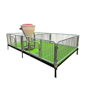China Pig Farm Industry Nursery Cage For Weaning Pigs wholesale