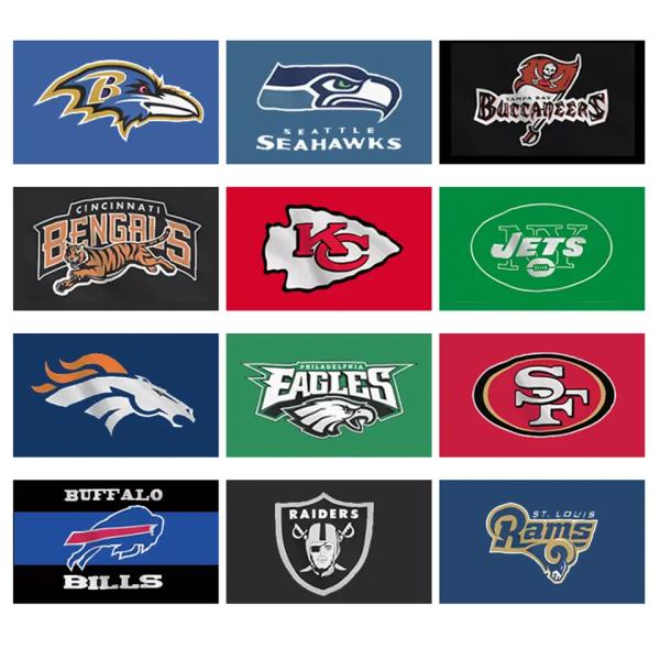 Hanging Style Michigan Wolverines Flag Polyester 3x5ft Custom Size