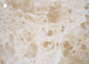 China White Granite Marble Self Adhesive Vinyl Film For Countertops Sticker wholesale