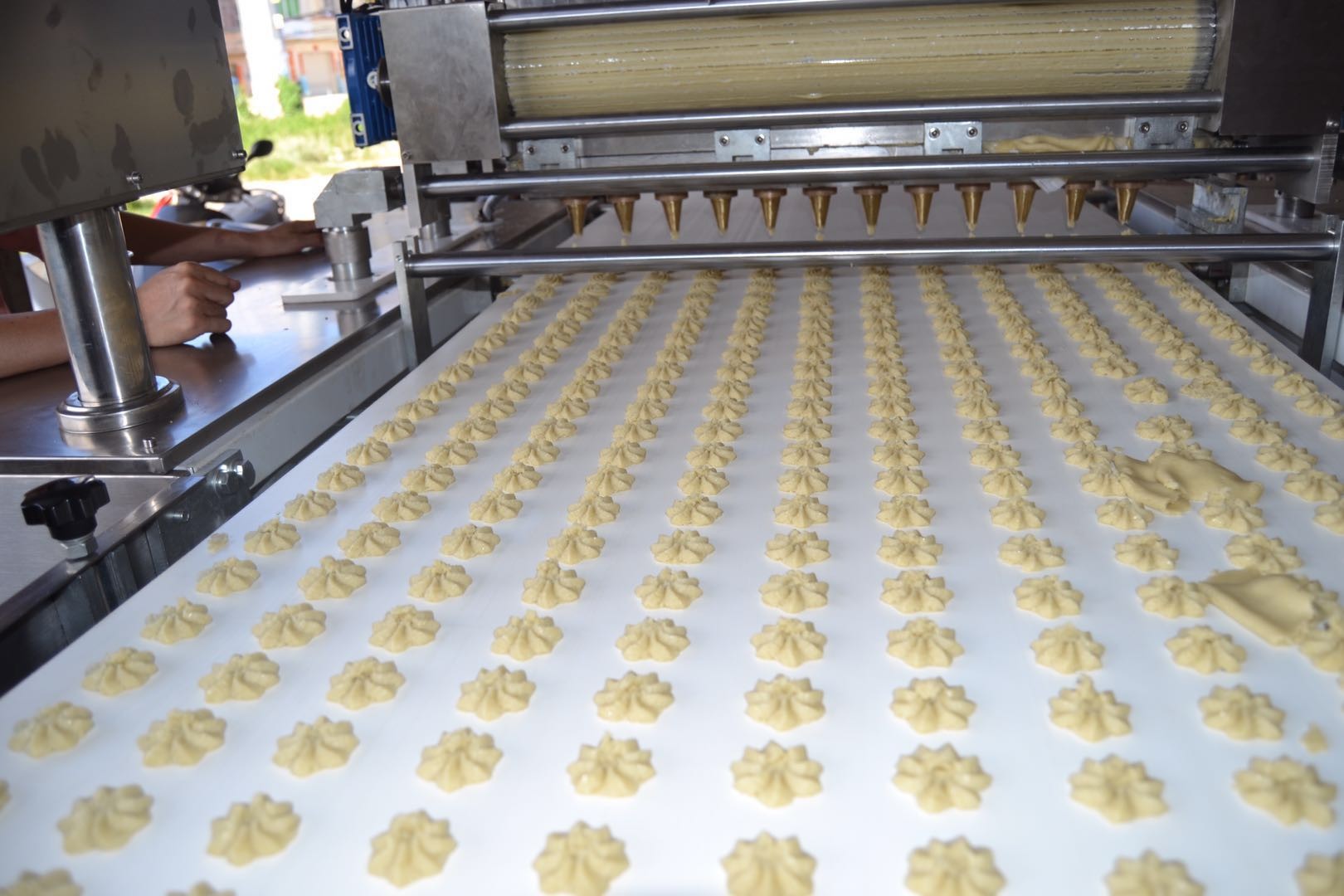 800mm 1200mm a series of biscuit shape make from multifunctional cookie machine with stainless steel food factory