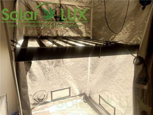 China RJ14 Dimming Hydroponic G2 Horticultural LED Grow Lights wholesale