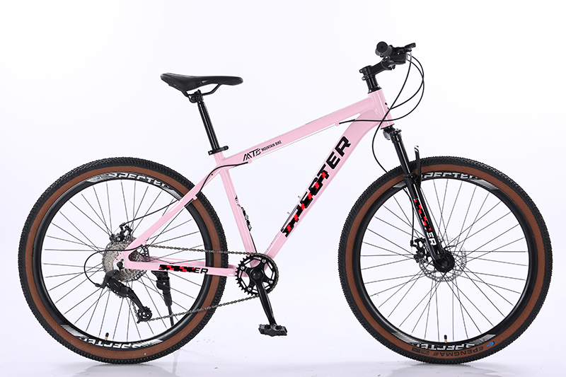 Hard Frame Non-rear Damper customizable bisiklet OEM mountainbike aluminium alloy cycle 9 10 12speed mountain bike mtb bicycle