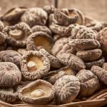 12-Month Shelf Life Dehydrated Flat Flavored Mushrooms