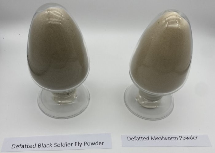 Get Your Daily Protein Intake with BSF Powder Protein Serving Size 30g