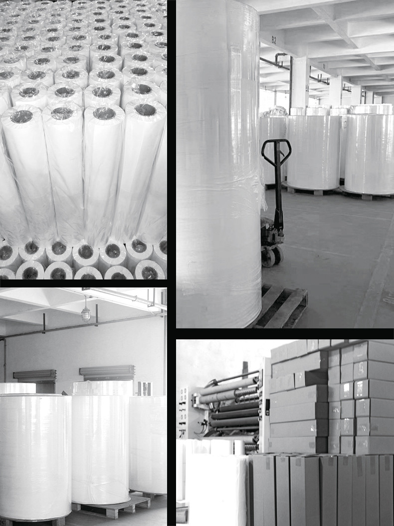 Albums Use Inkjet Photo Paper Roll 36 Inch RC 260gsm For Inkjet Printer