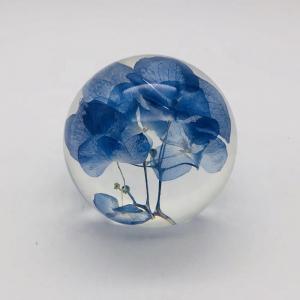 China Real Flower Paperweight Dia80mm With Hydrangea Inside on sale