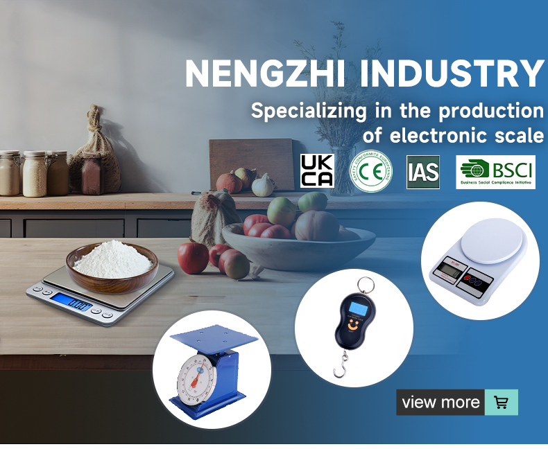 Stainless Steel Kitchen Scale with Produce Specification 1kg 2kg 3kg 5kg 10kg Bestselling Tool in West Asia Middle East