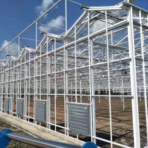 China Multi Span Steel Structure Venlo Glass Greenhouse Fiberglass Covering 1000m2 wholesale