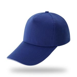 China 6 Panels 100% Cotton Sports Baseball Cap Custom Logo for Adults wholesale