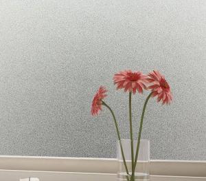 China 4mm Frosted Heat Strengthened Tempered Glass Panels For Window Frame wholesale