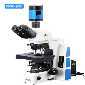 China Opto Edu M12.5850 Biological Motorized Microscope Bf Xyz wholesale