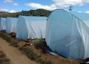 China High Tension Agriculture Non Woven Fabric 100% Virgin Polypropylene Material wholesale