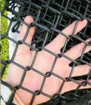 3mm 12 Gauge Chain Link Fence Pvc Coated Green 6x50