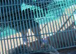 358 Anti-Climb Fence galvanized