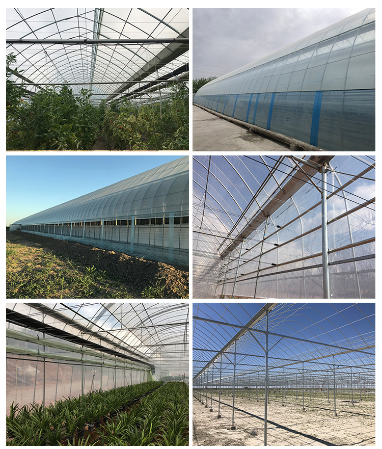 Automatic Controlling System Single Layer Greenhouse for Commercial Korean Model Film