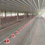 400kg/H Poultry Farming Equipment For Broilers Products