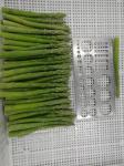 IQF Green Asparagus Spears , Blanched