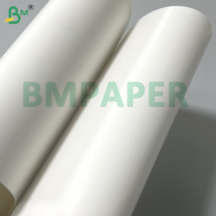 230g 250g PET Coated Paper Roll Heat Resistant Oven / Microwave Safe Waterproof & Greaseproof Food Tray Liner for Fast Food Bakery Takeaway Packaging
