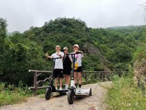 China DC Brushless Hub Motor 250W City Commuter Scooter wholesale