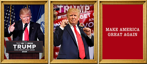 TRUMP Designs Printing Customized 3D PET Lenticular Poster 3D Lenticular