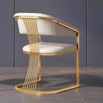 Modern Minimalist Luxury Dining Chair Stainless Steel Leisure Facilities