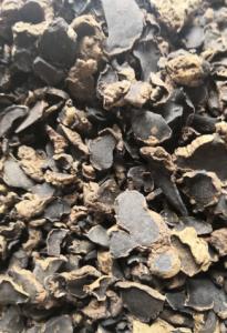 China Thai Black Ginger Extract 5%-10% 5,7-Dimethoxyflavone powder wholesale