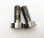 DIN84 cheese head machine screw slotted Cheese Head Screw
