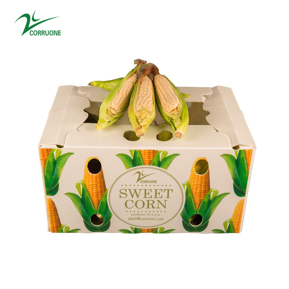 OEM Broccoli Fruit Corrugated Boxes Corrugated Plastic Delivery Box