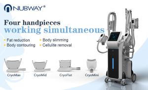 China Keyword cryolipolysis beauty machine Cryolipolysis fat freeze slimming machine wholesale