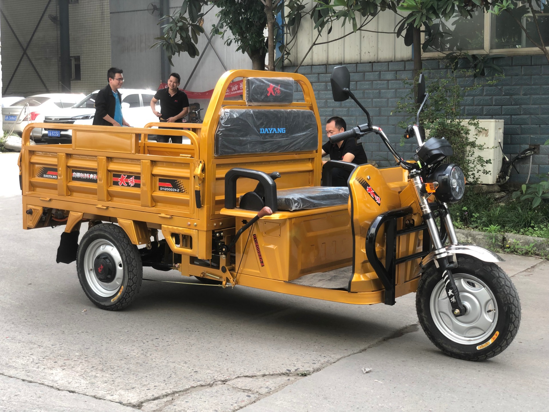 Customized Color Adults 3 Wheel Electric Tricycle with 72V Motor Power and 3.75-12 Tire
