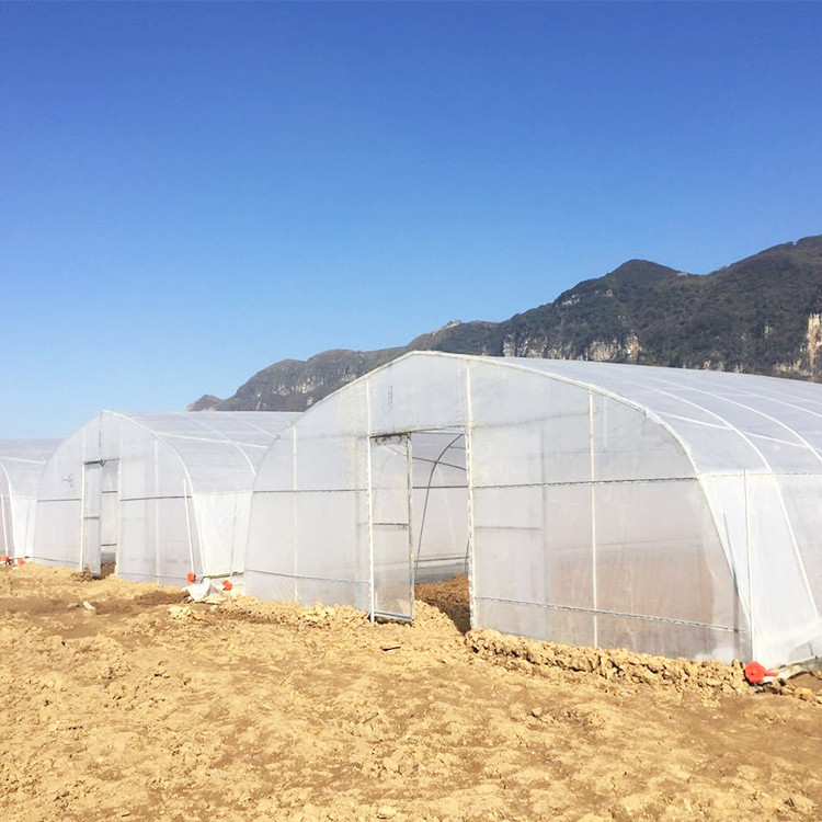 Classic Standard Greenhouse Tunnel Plastic Sheet Covering Vegetable Growth