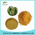 100% Pure Natural Non GMO Kosher Halal Certified 10:1 Purple Corn Seed Extract