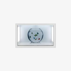 China 90 Inch Transparent LCD Screen Display 1920*1080 Transparent Display Screen wholesale