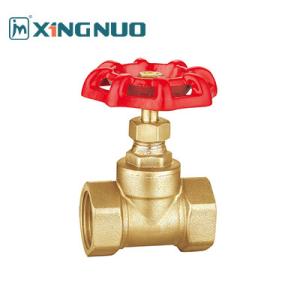 China High Quality 1/2 Inch 3/4 Inch Brass Gate Valve CE wholesale